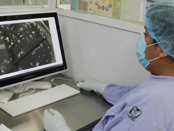 Con Banco de células de cordón umbilical, IMSS ha realizado trasplante de médula ósea a más de 150 menores Con Banco de células de cordón umbilical, IMSS ha realizado trasplante de médula ósea a más de 150 menores