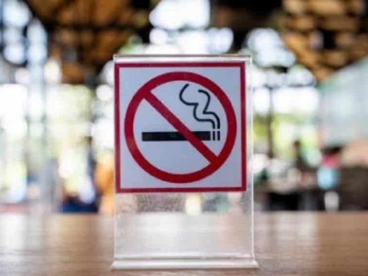 El 13 de febrero acaba el plazo, darán batalla a ley anti-tabaco El 13 de febrero acaba el plazo, darán batalla a ley anti-tabaco