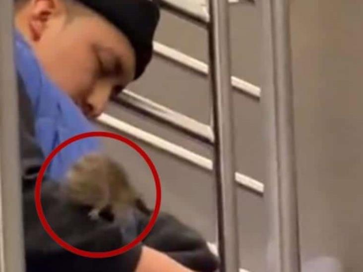 En el metro de Nueva York, lo mejor es no dormir, o se te suben las ratas En el metro de Nueva York, lo mejor es no dormir, o se te suben las ratas