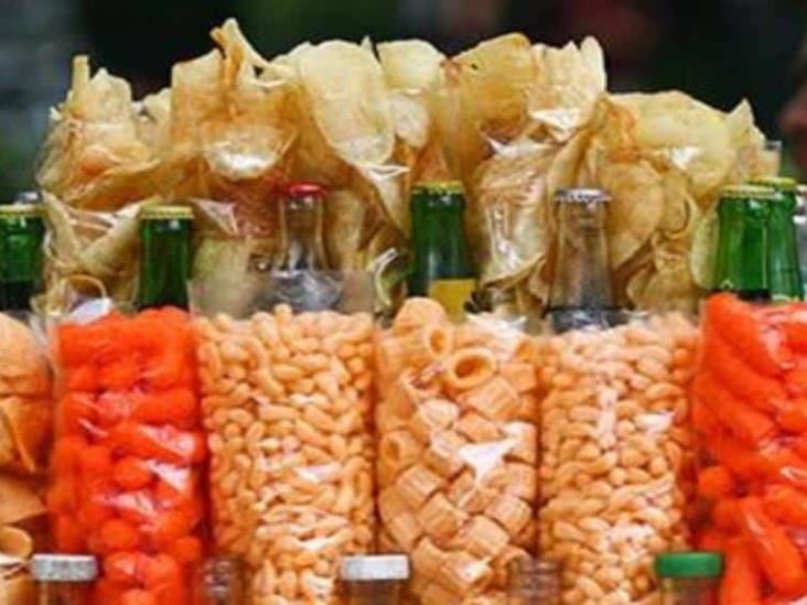 Los alimentos chatarra podrían afectar al cerebro Los alimentos chatarra podrían afectar al cerebro
