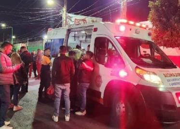 Perros de rescate de México se desplazan a Turquía en busca de víctimas del terremoto