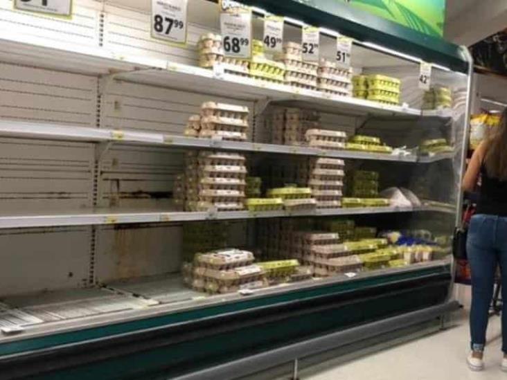 Comienza la escasez de huevo en la frontera Comienza la escasez de huevo en la frontera