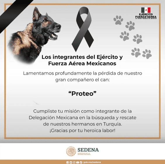 imagen-cuerpo imagen-cuerpo