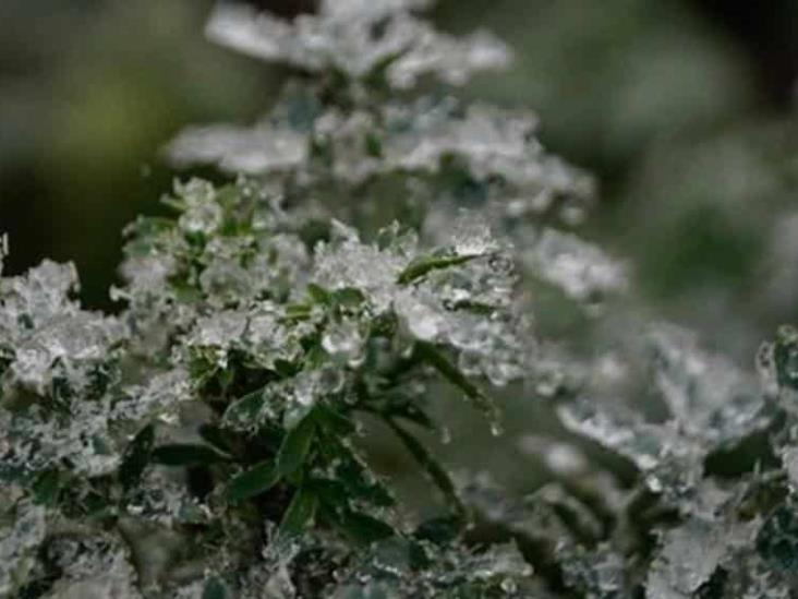 frente frío 32 y sexta tormenta Invernal se desplazarán sobre el noroeste y norte del país frente frío 32 y sexta tormenta Invernal se desplazarán sobre el noroeste y norte del país