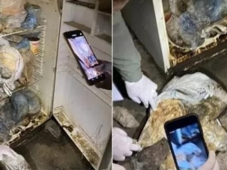 Mujer mataba perros y gatos como sacrificio al diablo para prolongar su vida Mujer mataba perros y gatos como sacrificio al diablo para prolongar su vida