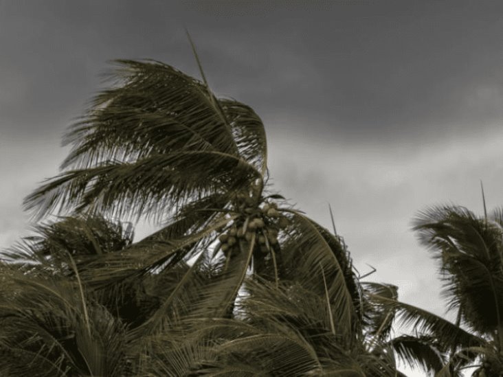 Frente frío Núm. 33 recorrerá el sur del litoral de Veracruz y el sureste mexicano Frente frío Núm. 33 recorrerá el sur del litoral de Veracruz y el sureste mexicano