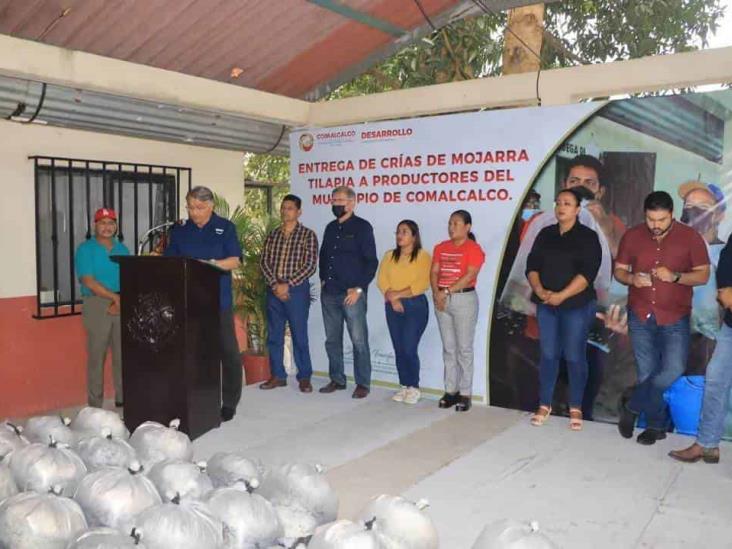Ayuntamiento de Comalcalco entrega 140 mil crias de mojarra tilapia a productores Ayuntamiento de Comalcalco entrega 140 mil crias de mojarra tilapia a productores