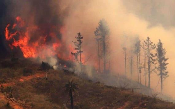 Incendios no dan tregua en Chile; Gobierno reconoce preocupación
