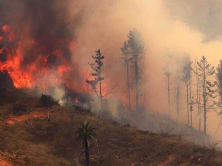 Incendios no dan tregua en Chile; Gobierno reconoce preocupación Incendios no dan tregua en Chile; Gobierno reconoce preocupación
