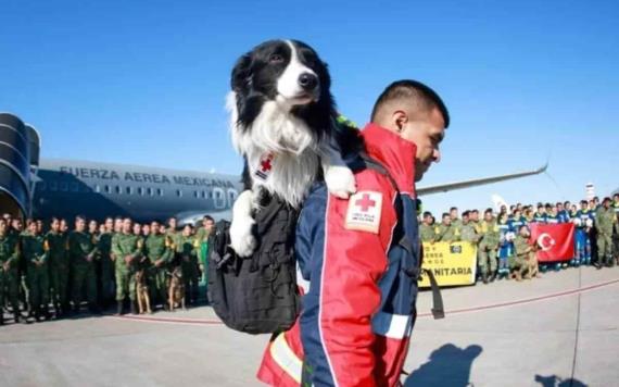Reconocen a Balaam, 3 perros y 15 rescatistas de Cruz Roja que participaron en Turquía