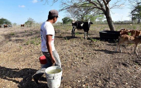Campesinos solicitan apoyo al Gobernador de Tabasco por temporada de sequía