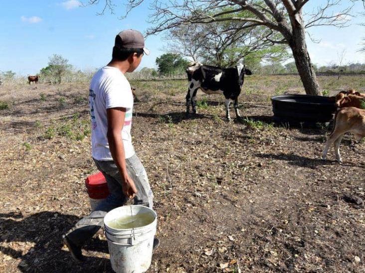 Campesinos solicitan apoyo al Gobernador de Tabasco por temporada de sequía Campesinos solicitan apoyo al Gobernador de Tabasco por temporada de sequía
