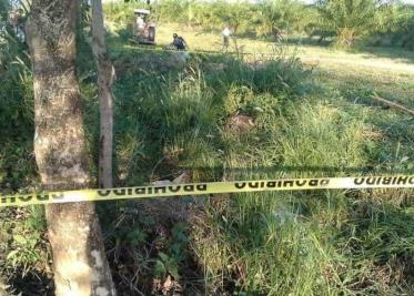 Decomisaron un cargamento de 2.4 toneladas de cocaína en Australia; eran de cártel mexicano