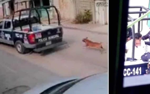 Policías de Chiapas maltratan a perrito; taxista los graba y es detenido