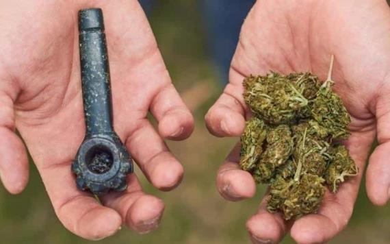 Legalizar mariguana no reduce el mercado ilegal y aumenta el consumo