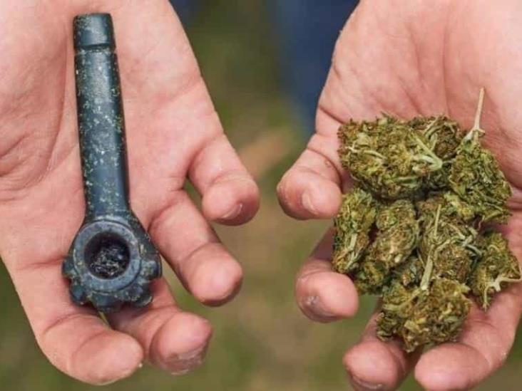 Legalizar mariguana no reduce el mercado ilegal y aumenta el consumo Legalizar mariguana no reduce el mercado ilegal y aumenta el consumo