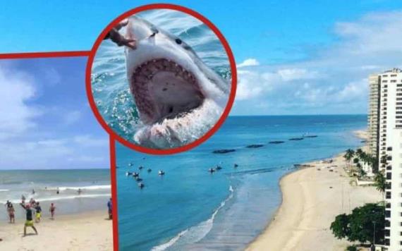 Tiburones atacan a dos jóvenes en una playa de Brasil; uno de ellos terminó amputado