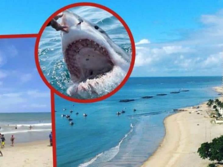 Tiburones atacan a dos jóvenes en una playa de Brasil; uno de ellos terminó amputado Tiburones atacan a dos jóvenes en una playa de Brasil; uno de ellos terminó amputado
