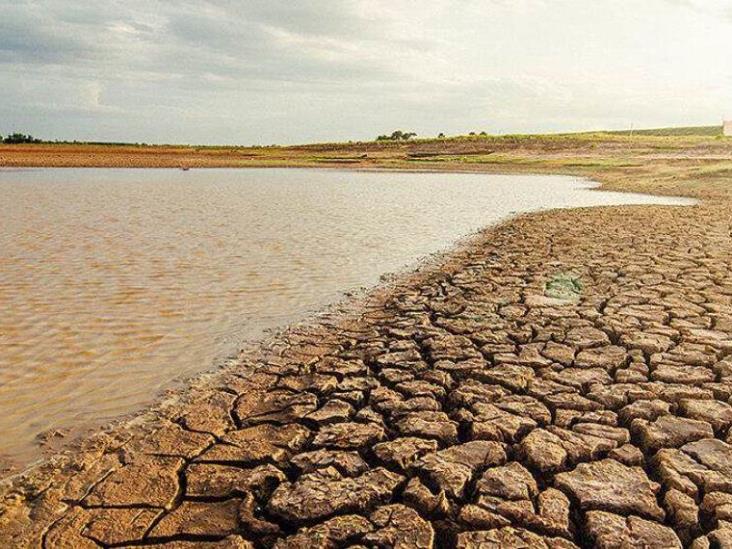 Uruguay enfrenta fuerte sequía que afecta cultivos y suministro de agua Uruguay enfrenta fuerte sequía que afecta cultivos y suministro de agua