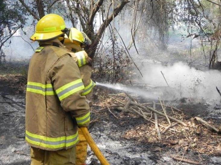 Incendios de pastizales provoca muerte de Fauna Incendios de pastizales provoca muerte de Fauna