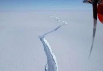 Revelan video del iceberg del tamaño de Londres que podría acabar con la fauna