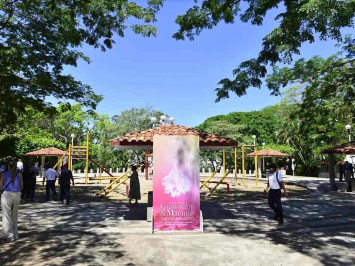 Realizan 2º Festival del Guayacán & Macuilí en Villahermosa Realizan 2º Festival del Guayacán & Macuilí en Villahermosa