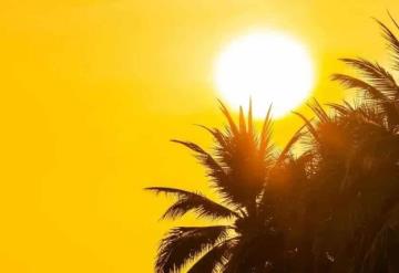 Persistirá la onda de calor en gran parte de México