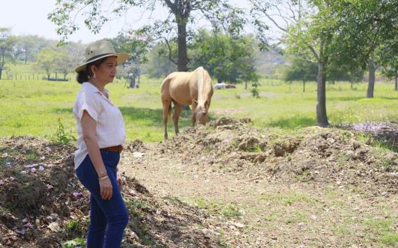 Ganaderos reconocen a Yolanda Osuna por oportuno programa de jagüeyes ante sequía
