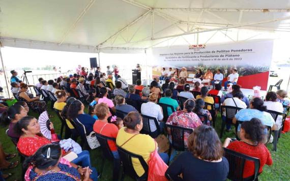 Ayuntamiento de Centro impulsa a las mujeres con Producción de Pollitas Ponedoras" y 100 apoyos del "Suministro de Fertilizante para Productores de Plátano