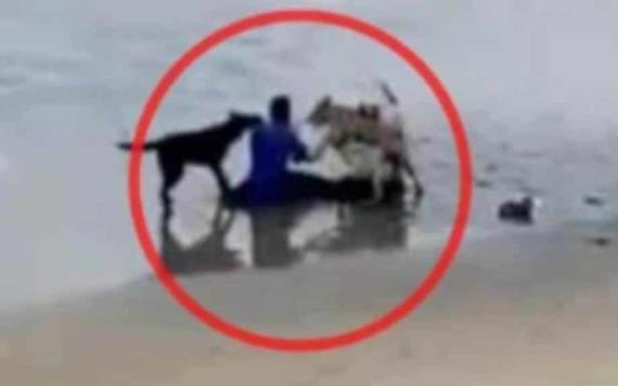 Captan a jauría de perros mordiendo a hombre en una playa de Tijuana