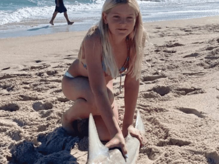 Adolescente peleó contra un tiburón en una playa de Florida Adolescente peleó contra un tiburón en una playa de Florida