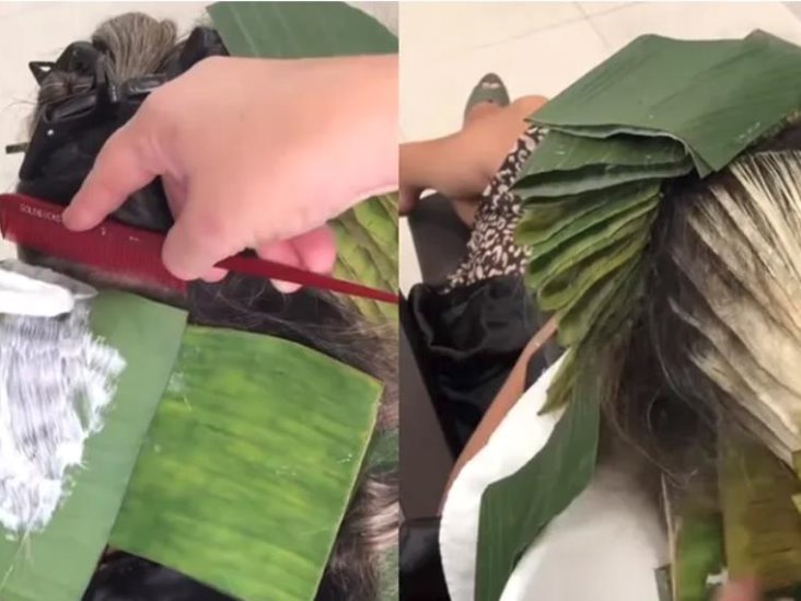 Decolora el cabello usando hojas de plátano en lugar de aluminio | Video viral Decolora el cabello usando hojas de plátano en lugar de aluminio | Video viral