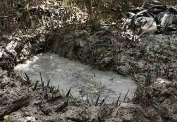 Encuentran fosa clandestina con 17 cadáveres en Veracruz