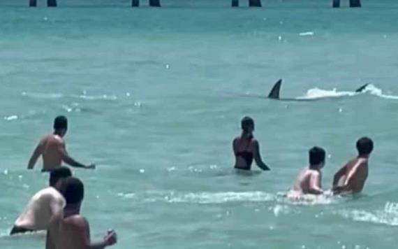 Video: Tiburón aterroriza a vacacionistas en una playa de Florida