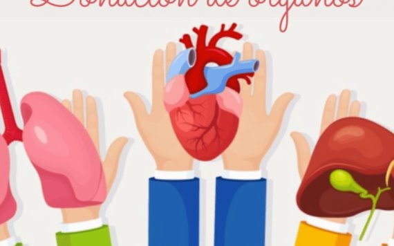Agenda: Donación de órganos, decisión vital