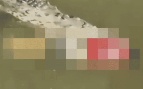 Identifican el cuerpo humano que tenía un cocodrilo en su boca