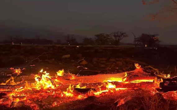 Incrementa cifra de muertos en Hawái a causa de los incendios forestales
