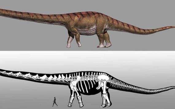 El esqueleto del dinosaurio más grande en el museo de España