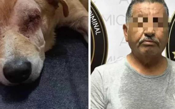 Hombre le saca los ojos a un perro; es detenido