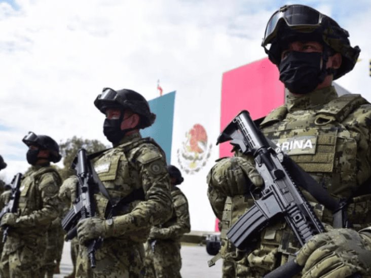 Marina mexicana alcanza niveles históricos en aseguramientos de droga Marina mexicana alcanza niveles históricos en aseguramientos de droga