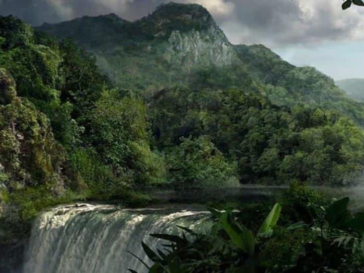 Árboles se desplazan por el cambio climático Árboles se desplazan por el cambio climático