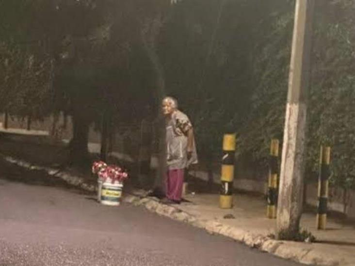Piden apoyar a Toñita, abuelita de Saltillo que se mantiene vendiendo flores: no se va hasta vender la última Piden apoyar a Toñita, abuelita de Saltillo que se mantiene vendiendo flores: no se va hasta vender la última