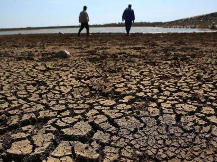 Sequía en Bolivia deja 48 mil 788 animales afectados y 27 mil 808 familias damnificadas Sequía en Bolivia deja 48 mil 788 animales afectados y 27 mil 808 familias damnificadas