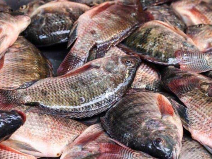 Amputan las cuatro extremidades a mujer tras comer un pescado