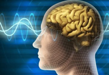 El descanso es necesario para el cerebro