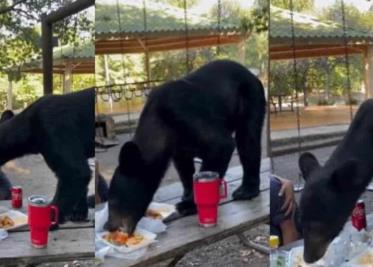 Oso se sube a mesa y DEVORA alimentos frente a familia en parque de Nuevo León | VIDEO