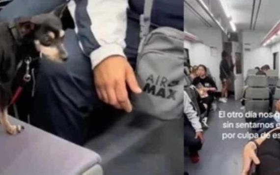 ¡Con el lomito, no! Mujer arremete contra perrito que usaba asiento de tren y en redes la critican