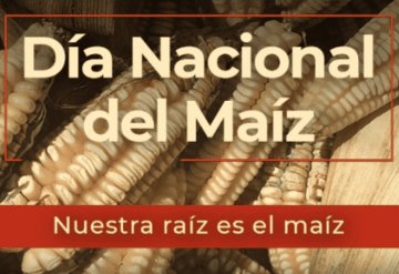 Día nacional del maíz