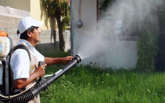 Van 8 muertes por dengue en Tabasco