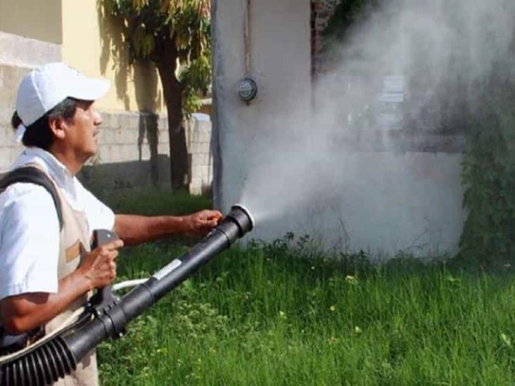 Van 8 muertes por dengue en Tabasco Van 8 muertes por dengue en Tabasco